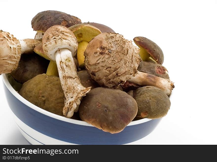 Raw fresh mushrooms in the dish