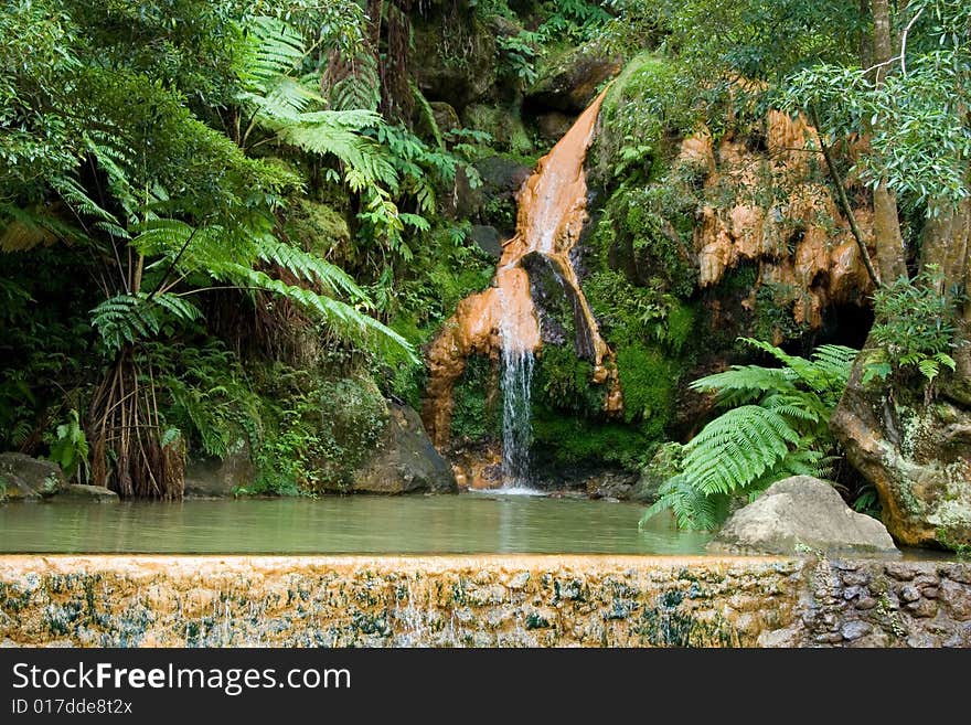 Subtropical rain forest in the northern slopes of the Azores island of Sao Miguel. Subtropical rain forest in the northern slopes of the Azores island of Sao Miguel