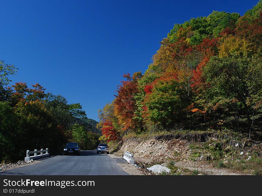 Good Color of Leaves at Autumn in North of China. Good Color of Leaves at Autumn in North of China