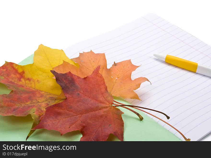 Writing-book, pen and autumn leaves