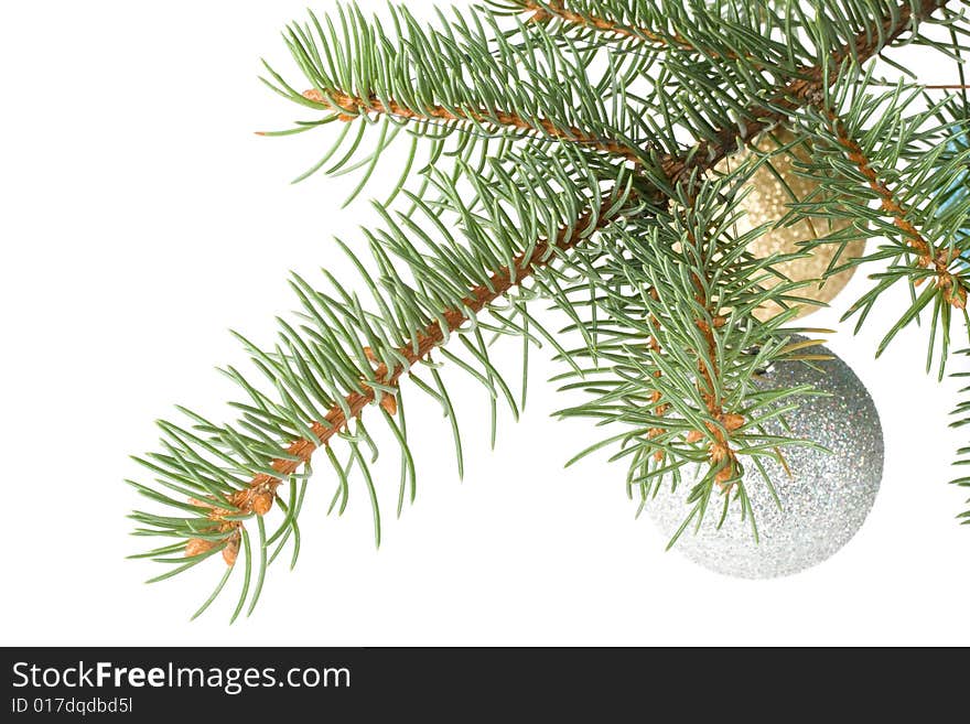 Fir tree branch with decoration on a white background. Close up. Christmas decoration.