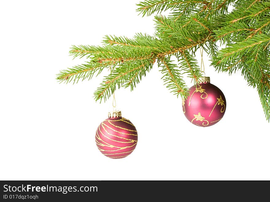 Fir tree branch with decoration on a white background. Close up. Christmas decoration.