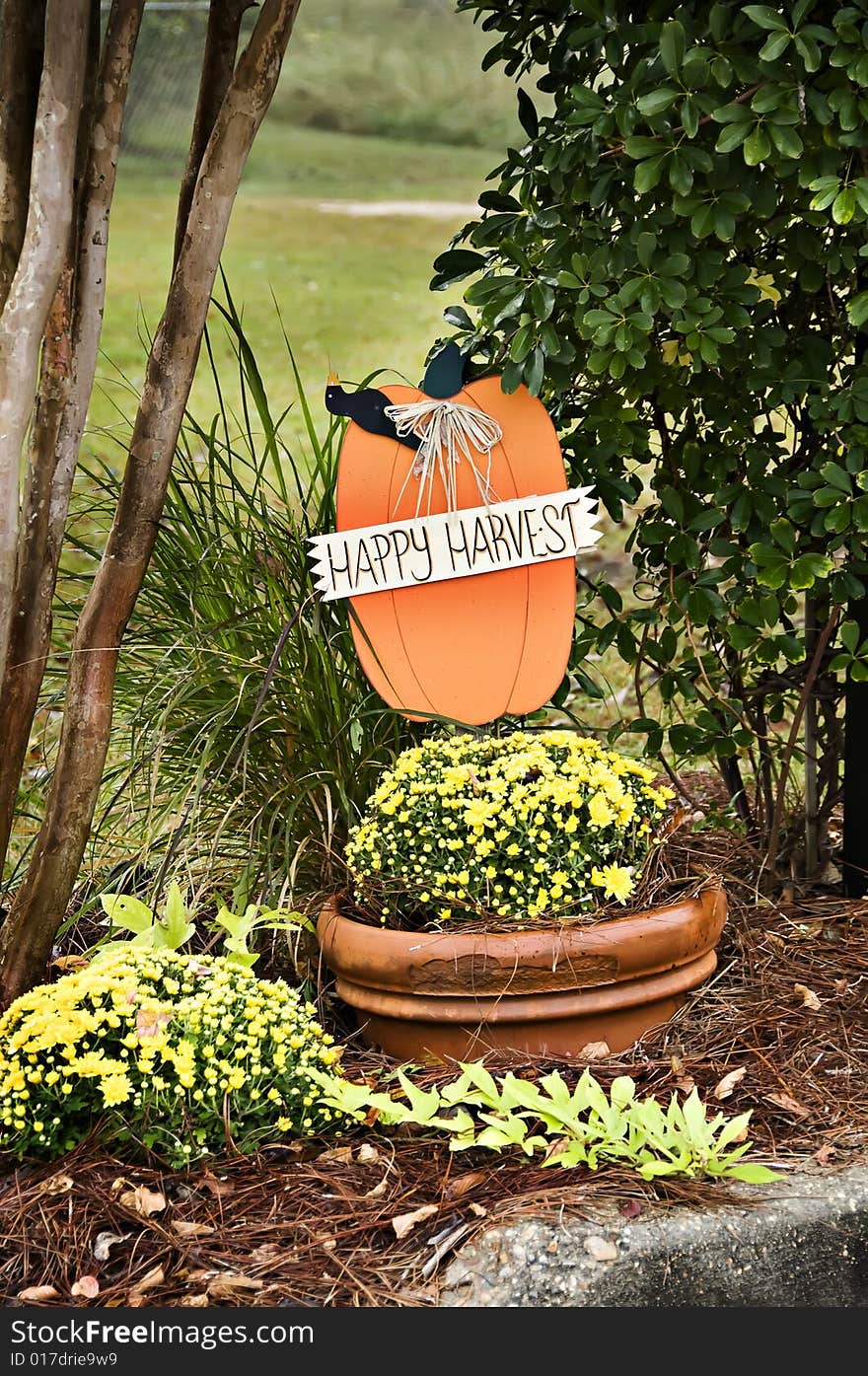 A fall display with a Happy Harvest banner pumpkin and fall mums.