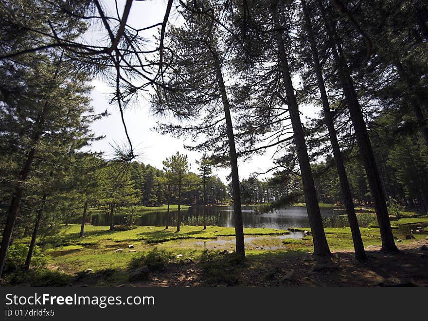 Fresh Water Lake