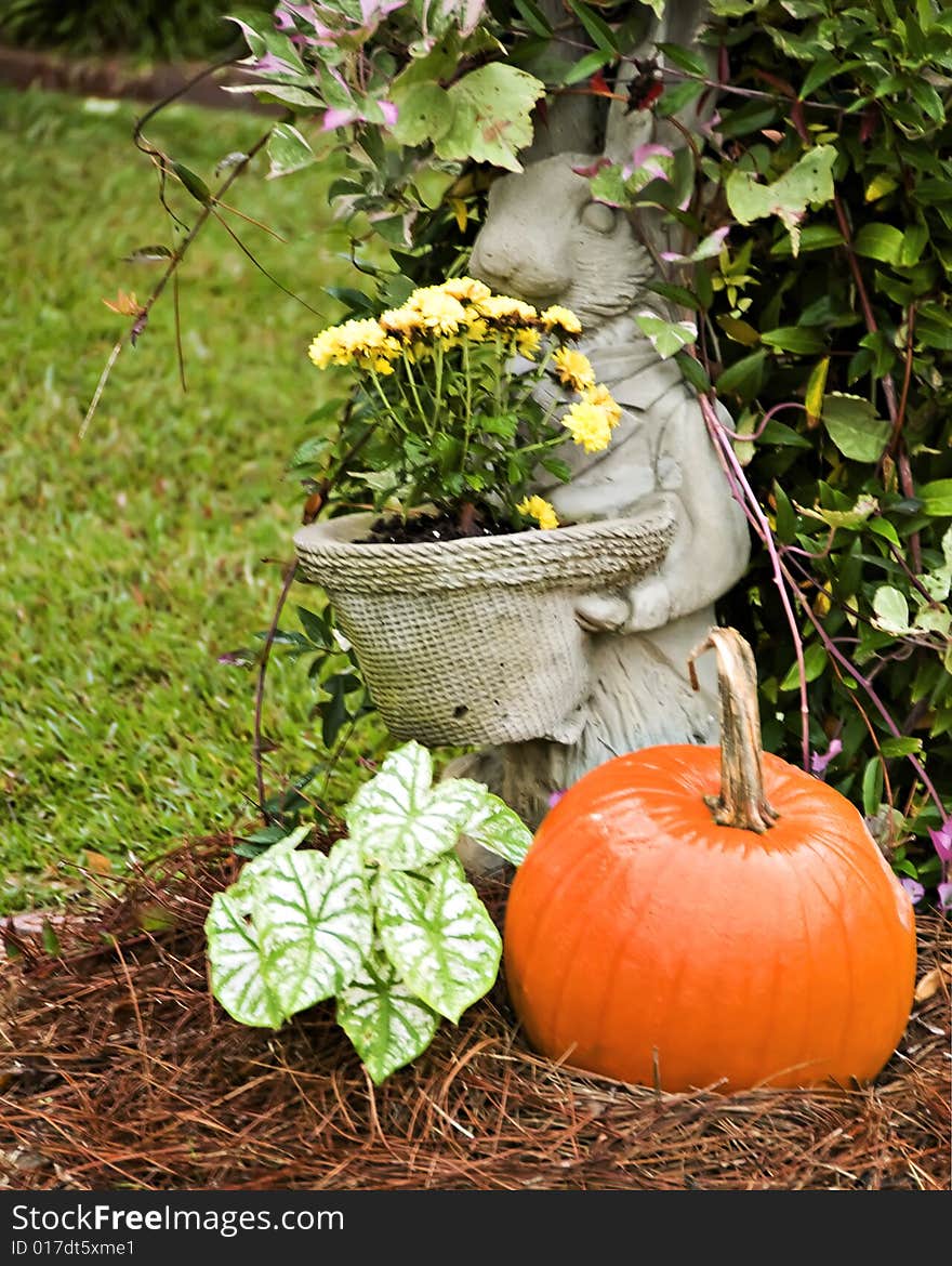 Rabbit Standing by a pumpkin