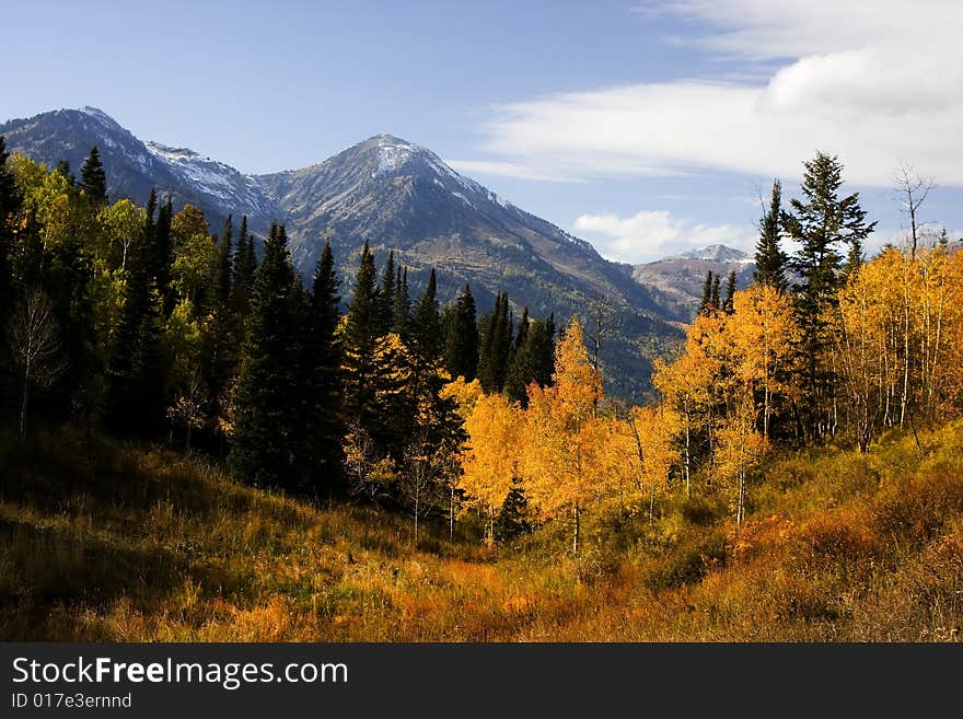 High Mountain Flat in the fall showing all the fall colors with mountains in the background. High Mountain Flat in the fall showing all the fall colors with mountains in the background