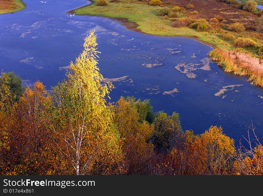 River on a background of a wood. River on a background of a wood