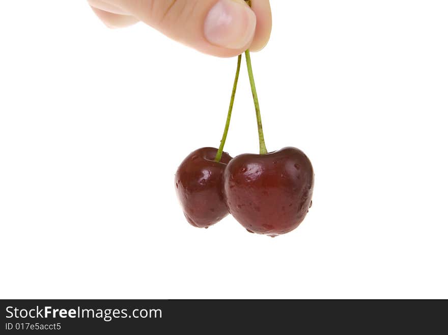 Pair of cherry in hand on white ground