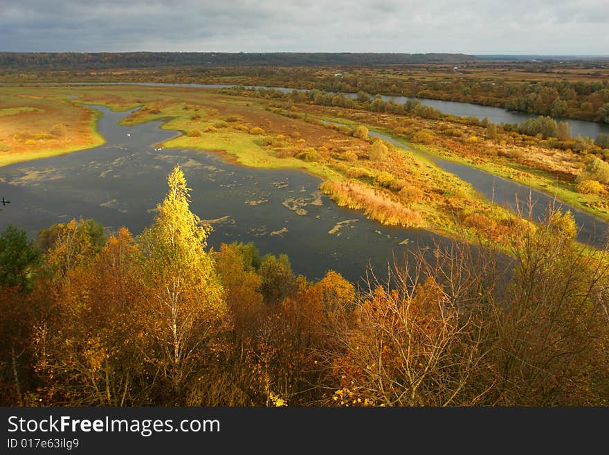 River on a background of a wood. River on a background of a wood