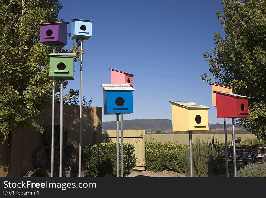 Colorful bird houses