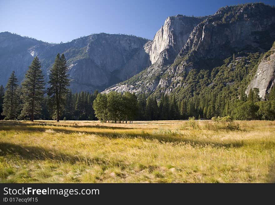 Yosemite meadow in the early autumn. Yosemite meadow in the early autumn