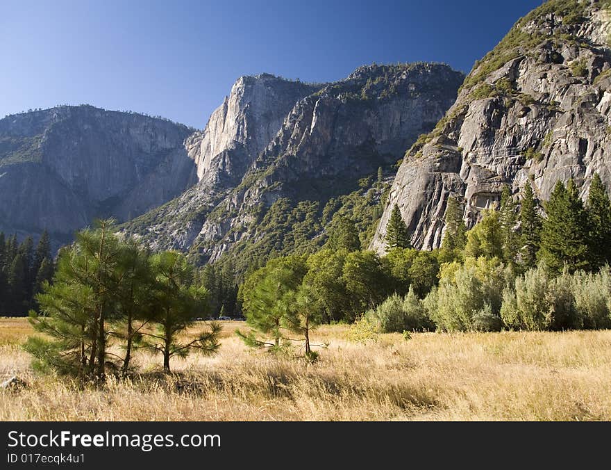 Yosemite meadow in the early autumn. Yosemite meadow in the early autumn