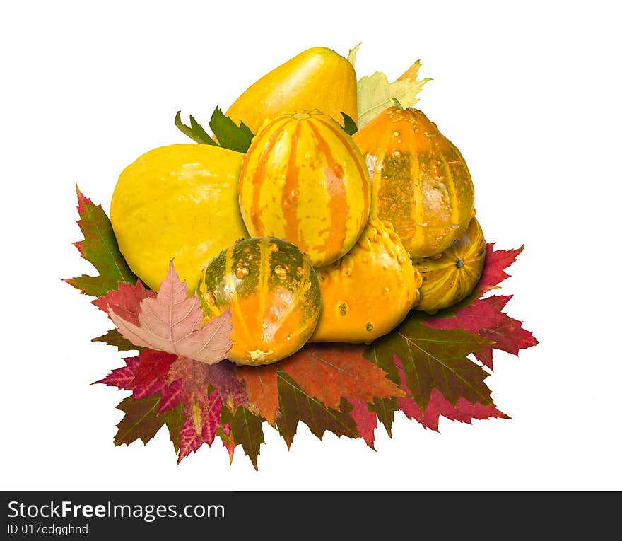 A composite of seven gourds and leaves against a white background