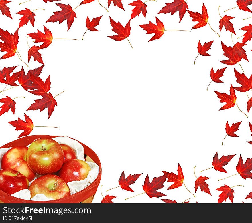 Canadian red maple leaves,with a basket of McIntosh apples in a basket on white. Canadian red maple leaves,with a basket of McIntosh apples in a basket on white