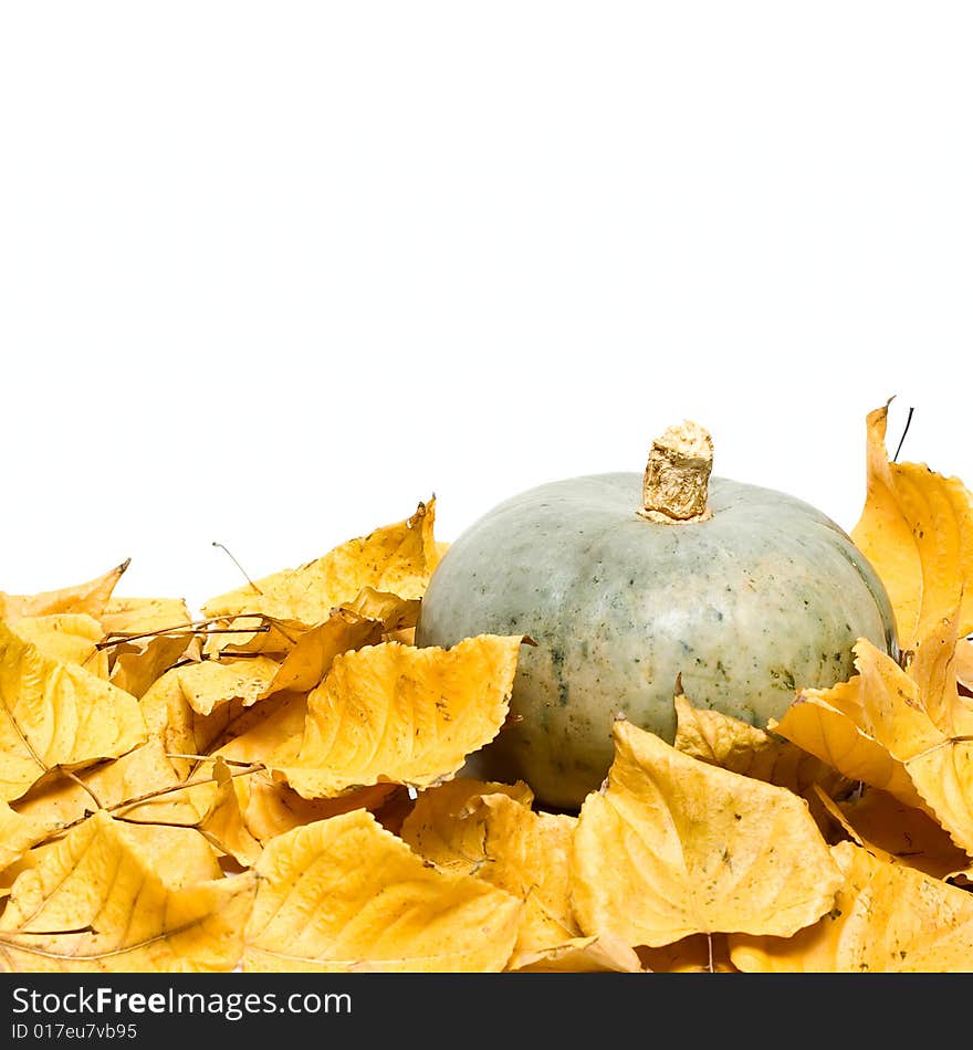 Pumpkin on fall leafs isolated on white