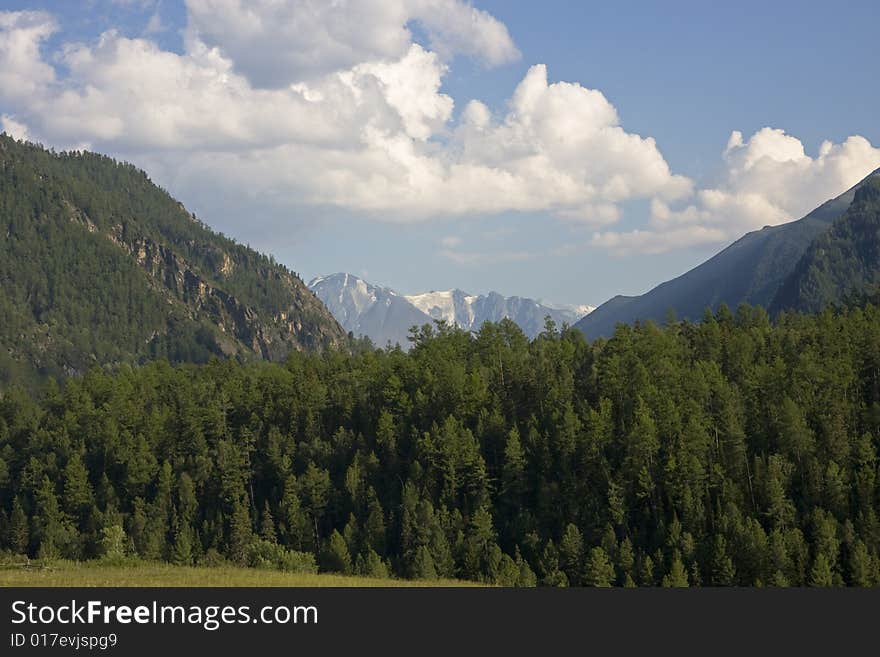 Altai Landscape