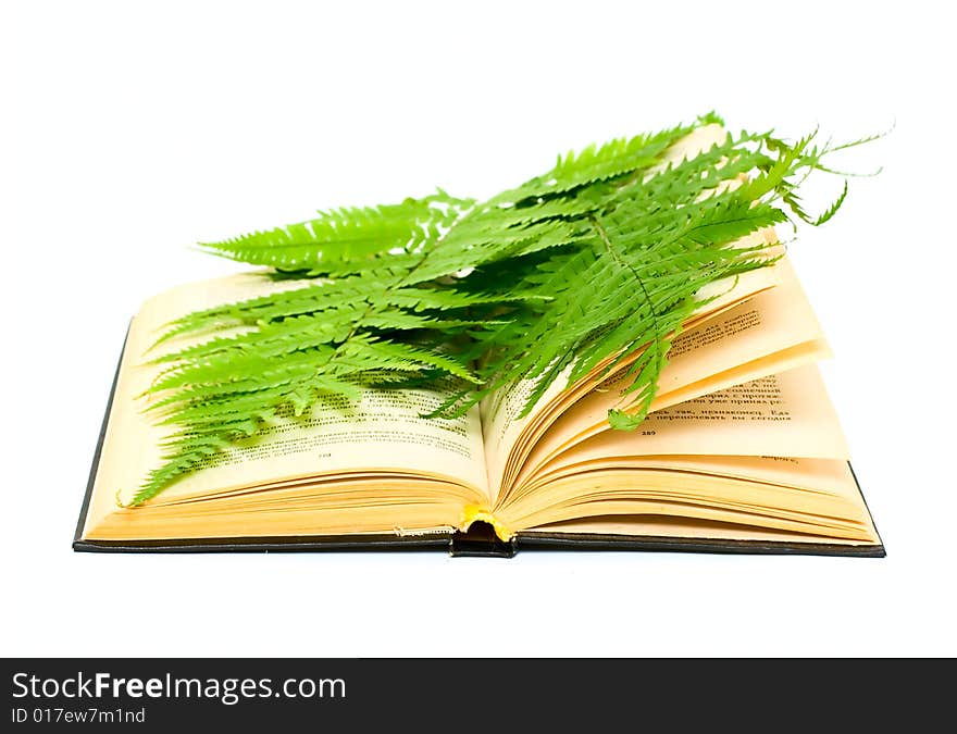 Book and plant isolated on white