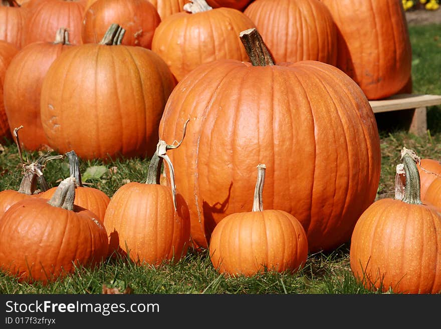 Pumpkins