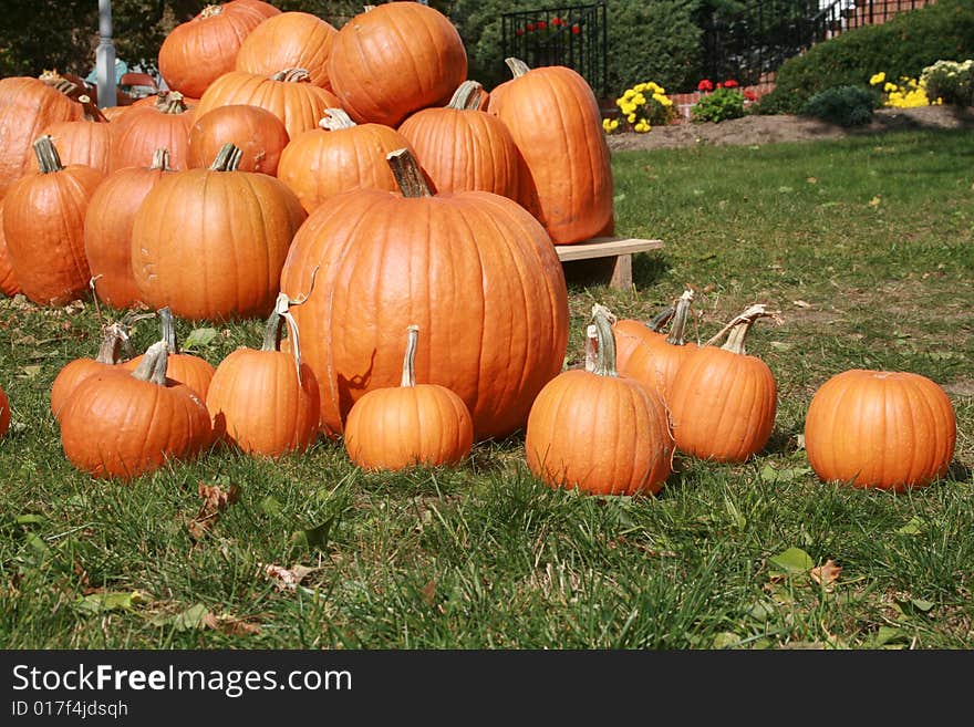 Pumpkins