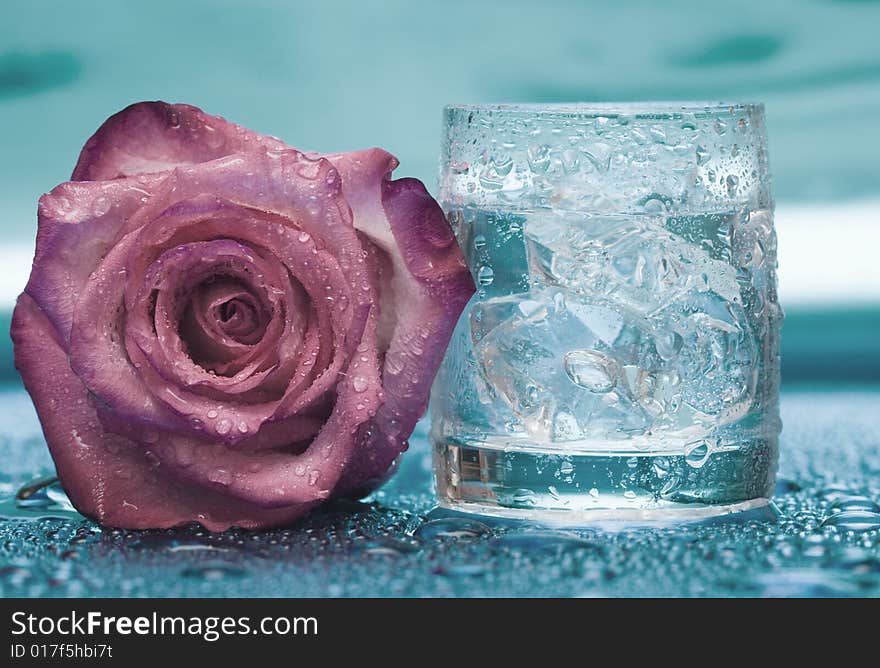 Glass with water and rose