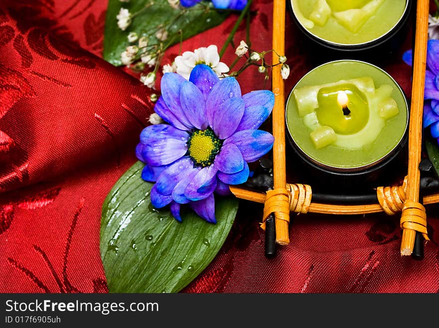 Row of green candles and blue flowers