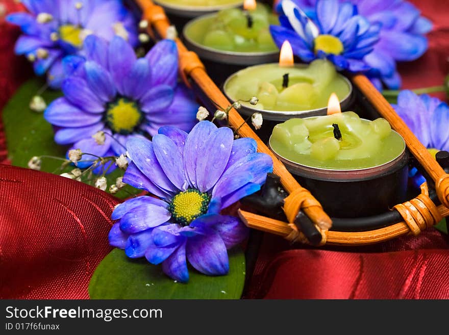 Row of green candles and blue flowers