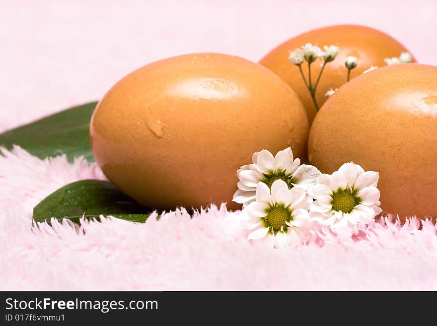 Easter eggs with white flowers. Easter eggs with white flowers