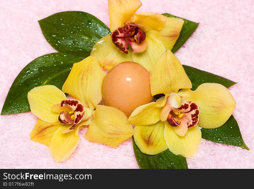 Easter egg with yellow orchids. Easter egg with yellow orchids