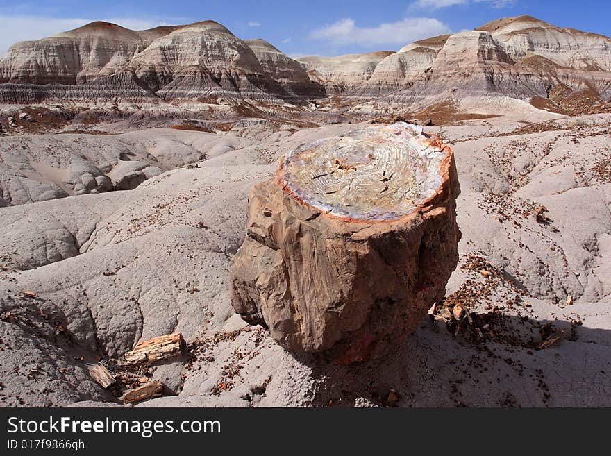 Landscape At Petrified Forest National Park