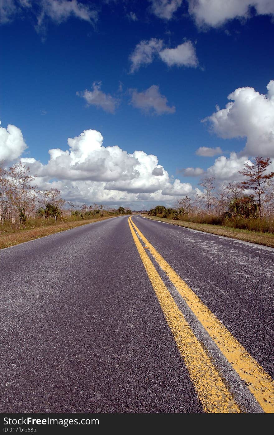 A street running through Everglades National Park on a pleasant and warm winter day in December. A street running through Everglades National Park on a pleasant and warm winter day in December.