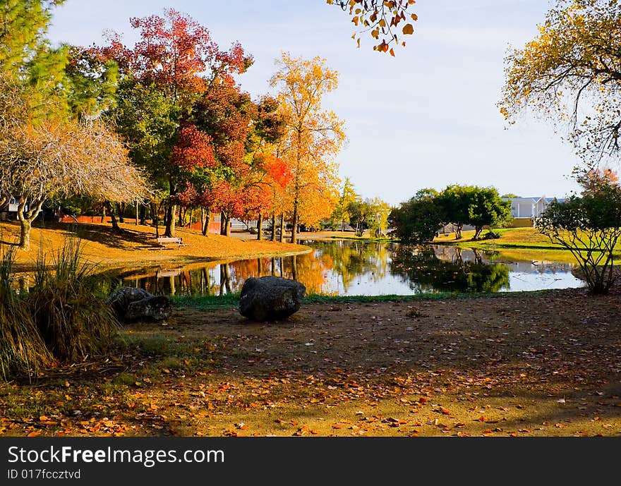 Autumn in the park