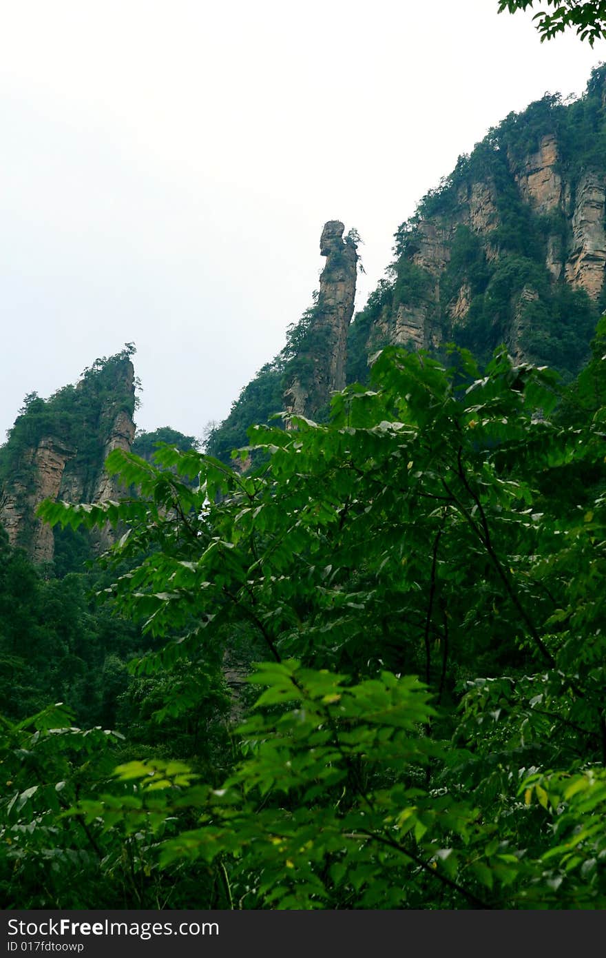 China's Zhangjiajie beautiful scenery. China's Zhangjiajie beautiful scenery.