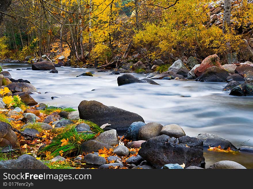 Creek In The Forest In Autumn