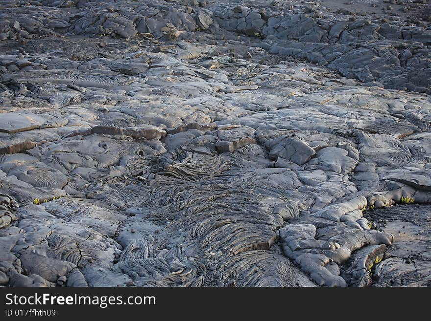 A landscape of hardened molten lava that is thick, black and ropey. A landscape of hardened molten lava that is thick, black and ropey