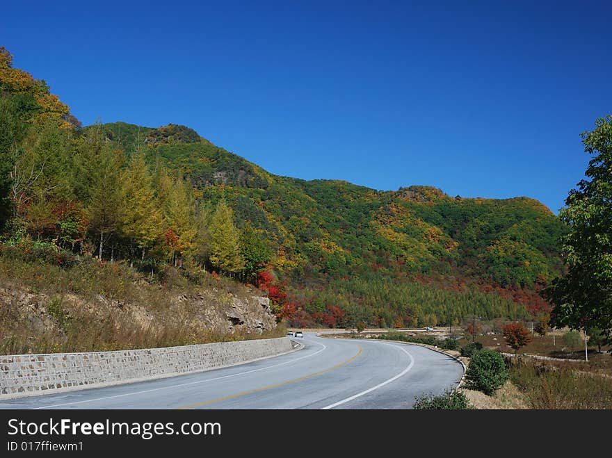 Good Color of Leaves at Autumn in North of China. Good Color of Leaves at Autumn in North of China