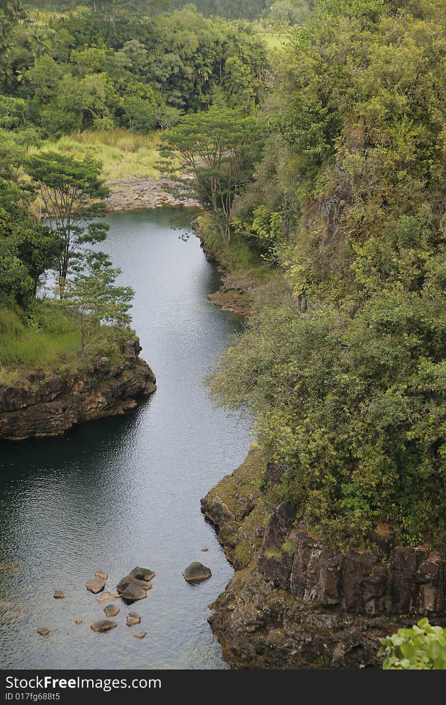 Aerial view of a river running through a lush green forest. Aerial view of a river running through a lush green forest