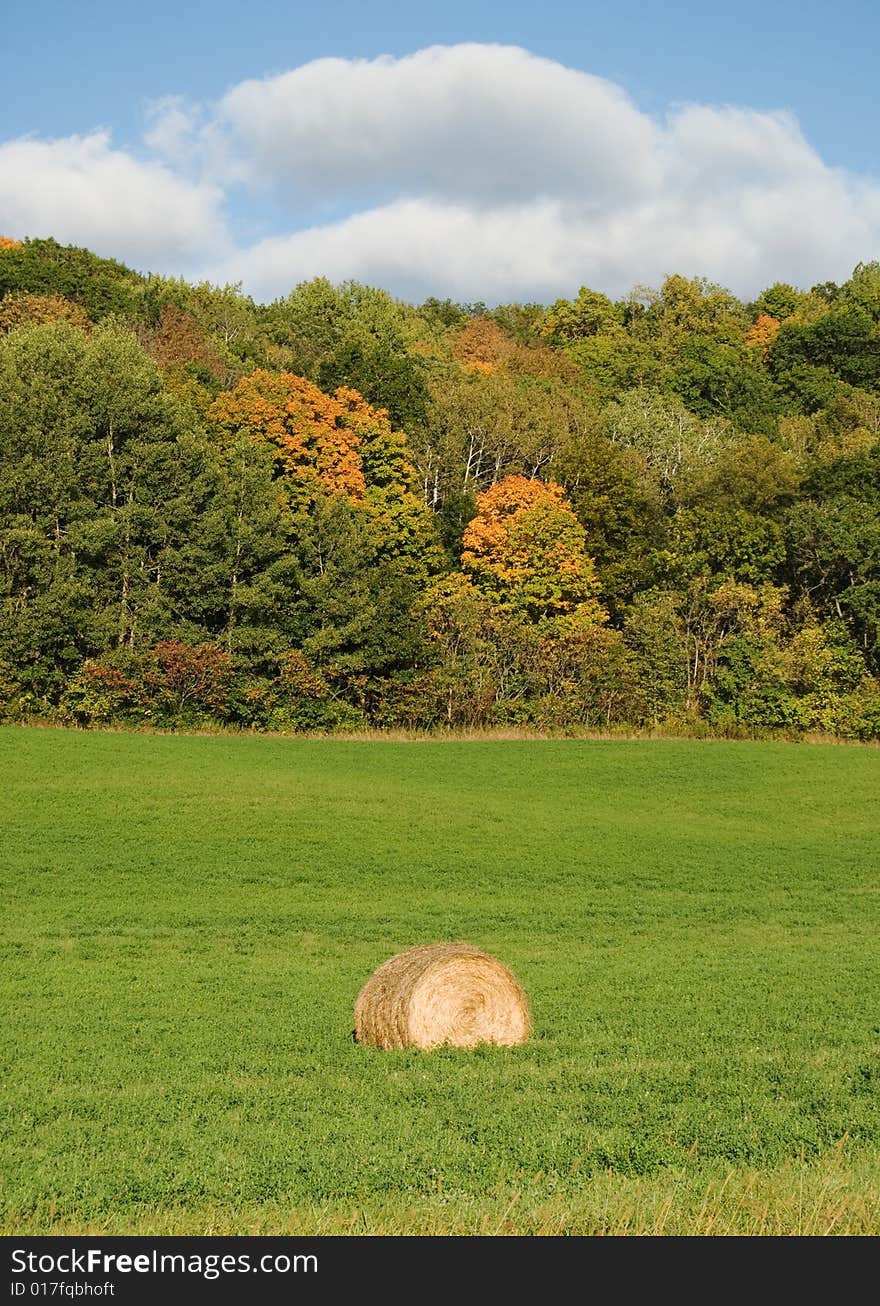 Rural farm field in the autumn months