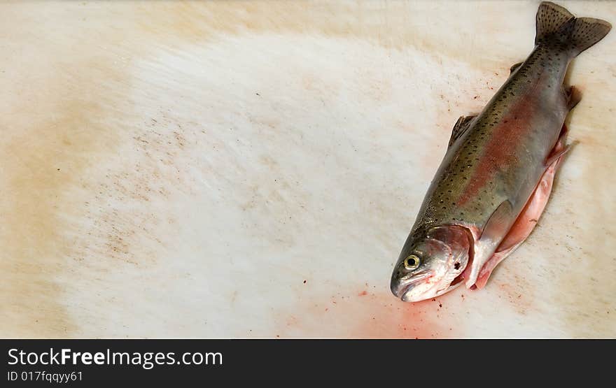 Rainbow trout fish prepared to be filleted