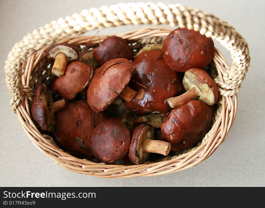 Basket full of mushrooms isolated on white background. Basket full of mushrooms isolated on white background