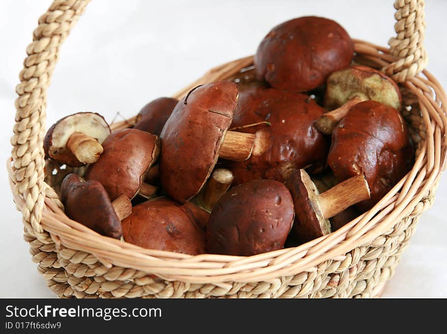 Basket full of mushrooms isolated on white background. Basket full of mushrooms isolated on white background