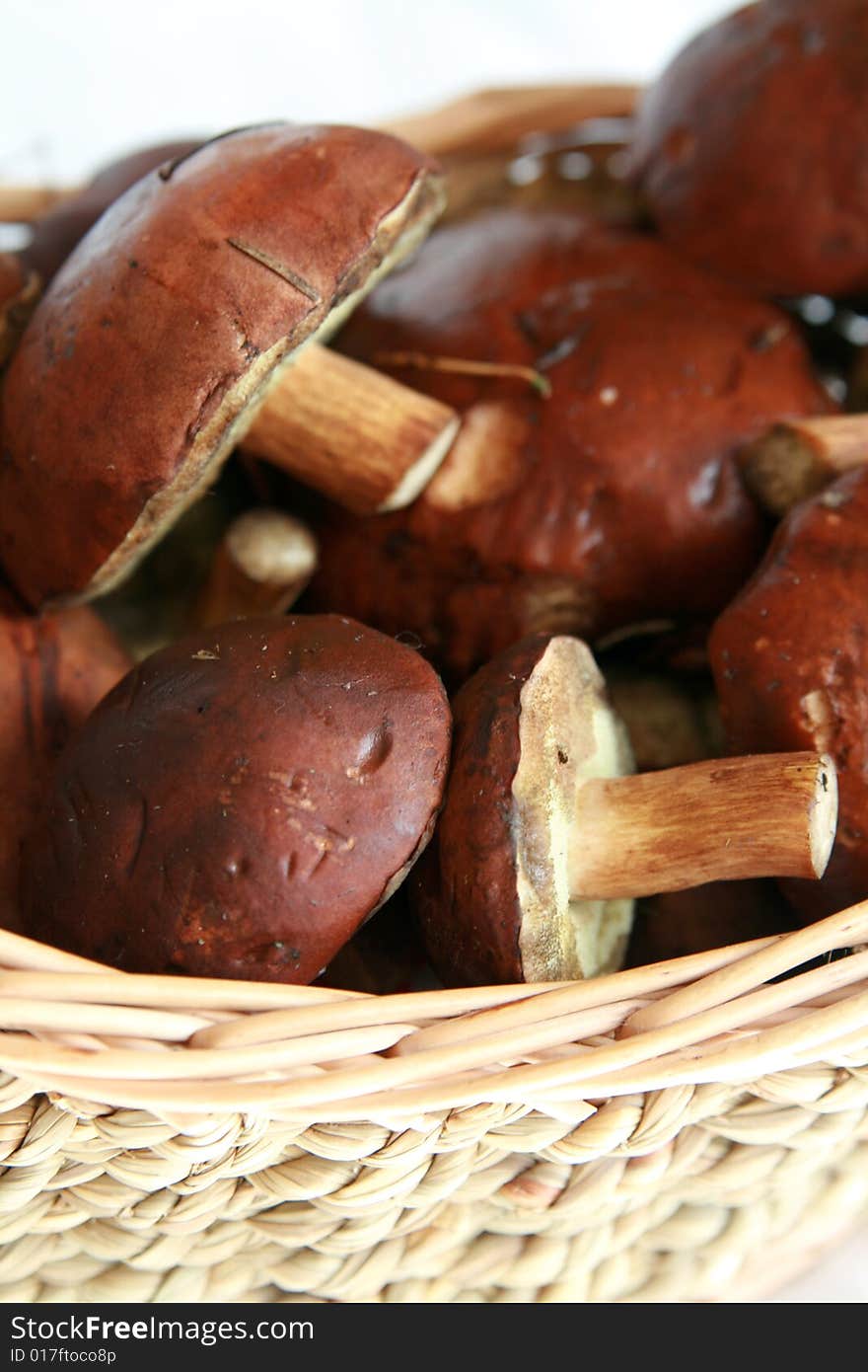 Basket full of mushrooms isolated on white background. Basket full of mushrooms isolated on white background