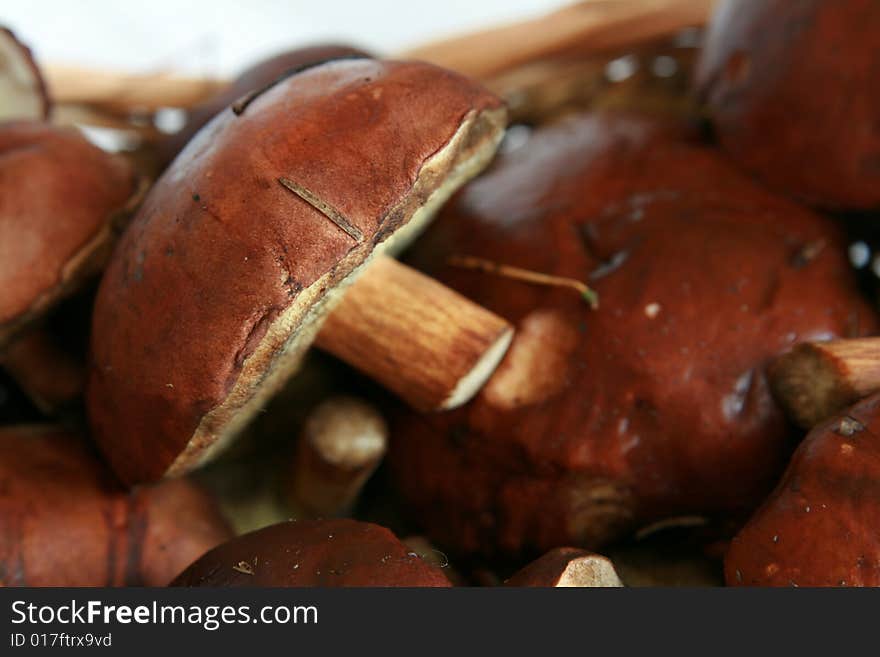 Basket full of mushrooms isolated on white background. Basket full of mushrooms isolated on white background