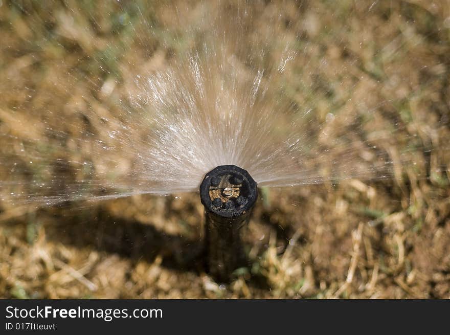 Water sprinkler on landscaped lawn