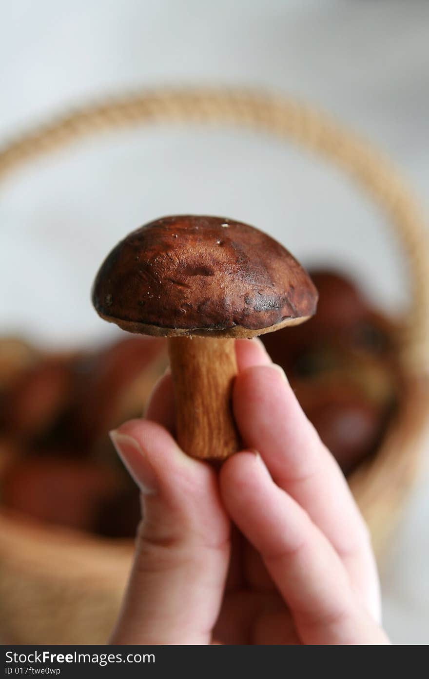 Mushrooms In A Basket