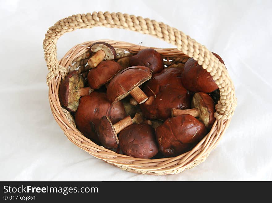 Basket full of mushrooms on white background. Basket full of mushrooms on white background