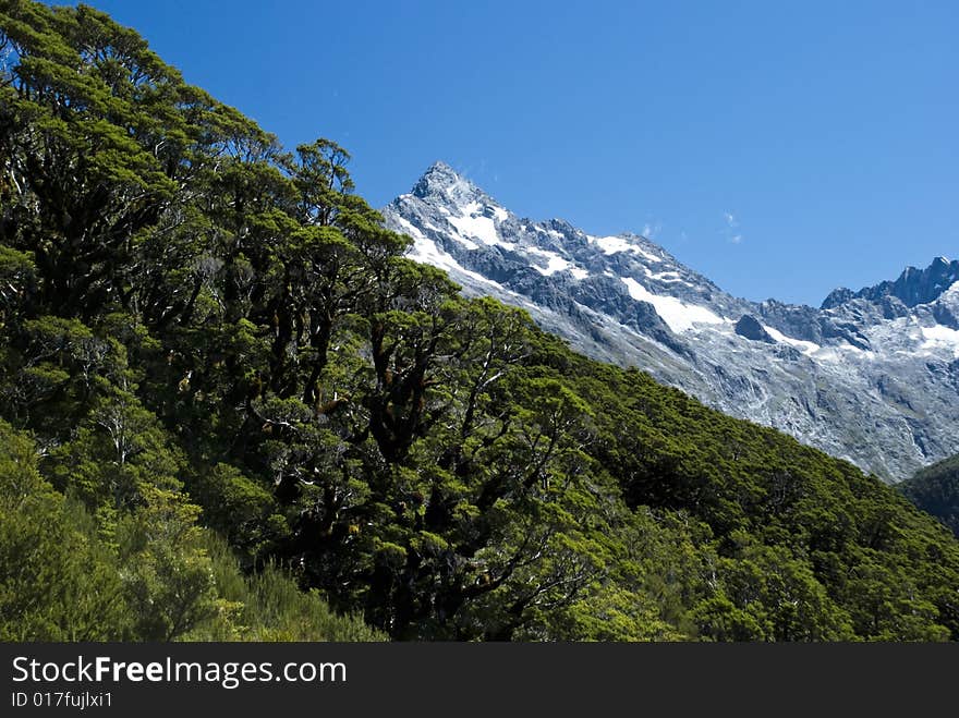 View from the top of Key Summit, Milford Sound, Fiordland National Park, New Zealand. View from the top of Key Summit, Milford Sound, Fiordland National Park, New Zealand