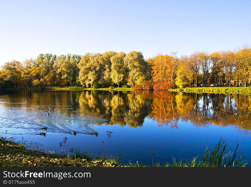 Autumn landscape of lake and bright trees