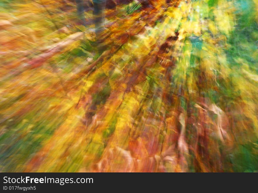 Abstract background of autumn leaves. Abstract background of autumn leaves