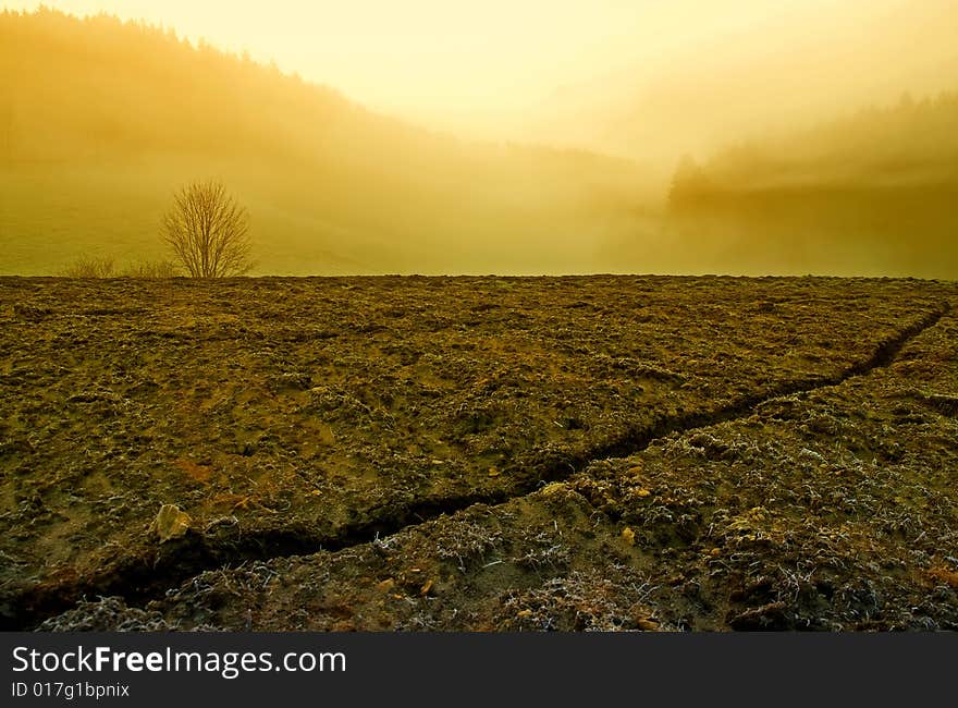 Yellow fog