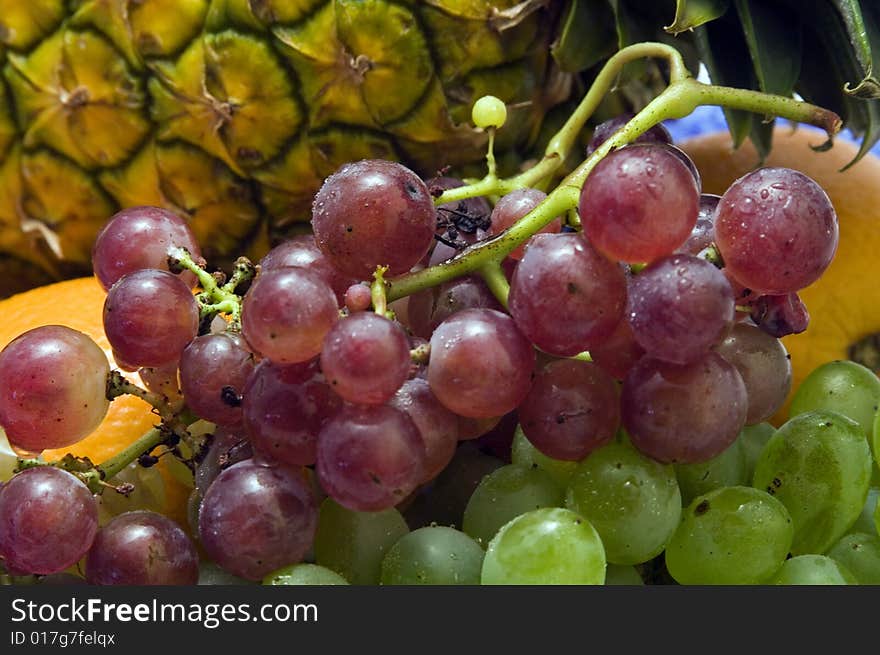 Tropical fruit close up.